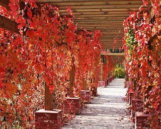 Beijing Jinyu Badaling Hot Spring Resort 小河屯 外观 照片